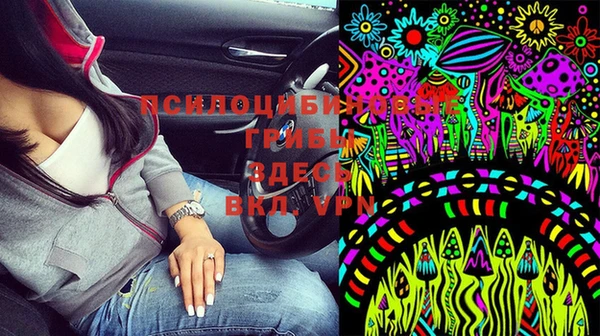 мет Арсеньев
