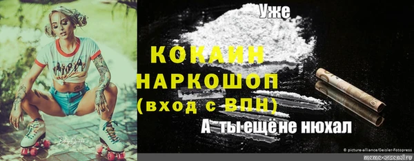 мет Арсеньев