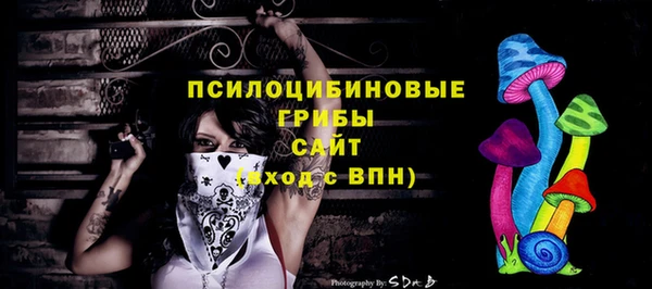 дживик Переславль-Залесский