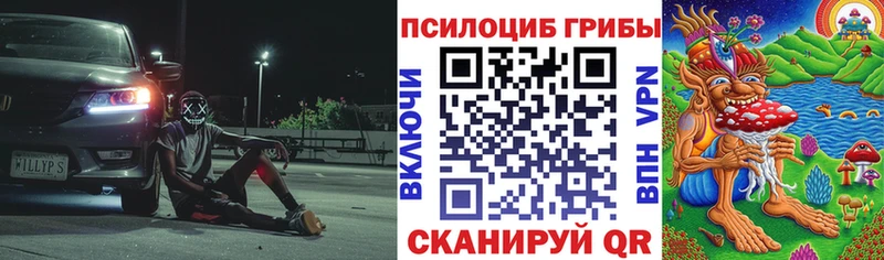 Псилоцибиновые грибы Psilocybe  KRAKEN ТОР  Рассказово 